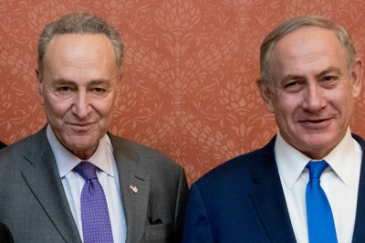 Israel's US ambassador slams Schumer's 'unhelpful' anti-Netanyahu speech: 'Israel is a sovereign democracy'