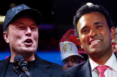 DOGE eyes suggestions to slash federal DEI programs: report