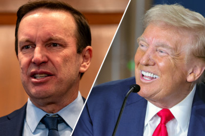 White House scorches 'moron' left-wing senator for seething over 'obvious' Trump family parody account