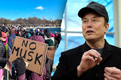Elon Musk protests to target lawmakers, Tesla dealerships as progressives decry 'extremist cuts'