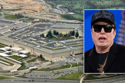 DOD tells civilian workforce to ignore Elon Musk's request to report productivity