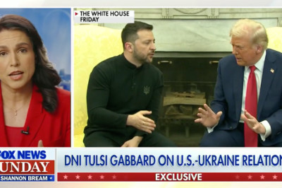 DNI Gabbard sounds off on Europe's 'divergence' from U.S. values after tense Trump-Zelenskyy meeting