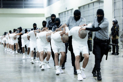 US paid El Salvador to take Venezuelan Tren de Aragua members: 'pennies on the dollar,' White House says