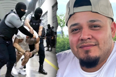 Top Trump official torches Dem senator's 'advocacy for a known terrorist' during fiery hearing: 'Alarming'