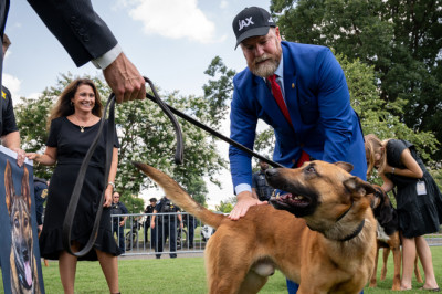 House DOGE leader pushes tougher penalties for assaults on police K9s, horses amid anti-ICE violence