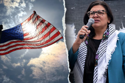 As ‘Squad’ turns assimilation into ‘dirty word,’ expert urges US leaders to renounce foreign loyalties