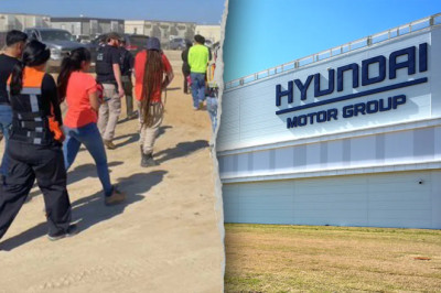 Social media firestorm erupts after massive Georgia immigration raid: 'Taking bold action'