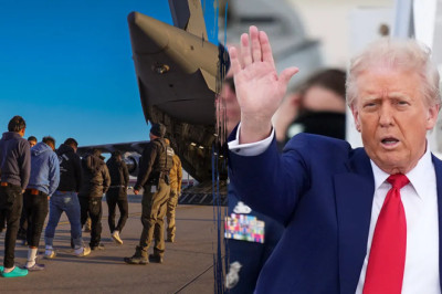 Trump admin on pace to shatter deportation record by end of first year: 'Just the beginning'