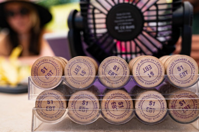 States sue Trump admin over billions in looming cuts to SNAP, food stamps