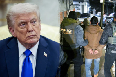 Trump backs ICE raid tactics, says they 'haven't gone far enough'