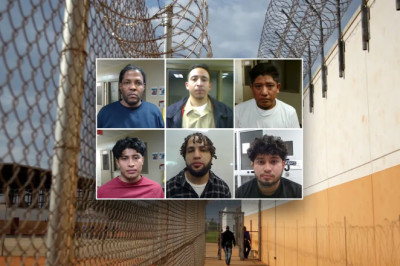 Sexual predators, drug traffickers among ICE's 'worst of the worst' roundup in Virginia