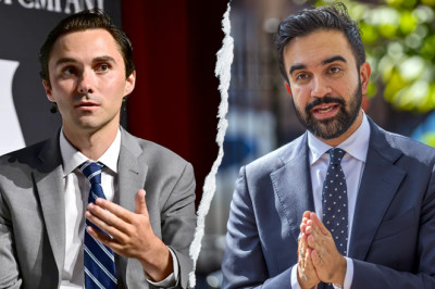 David Hogg celebrates Zohran Mamdani's win, calls on Dems to reignite the 'American Dream'