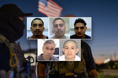 ICE operation prevents ‘nightmares and PTSD’ in massive Texas operation