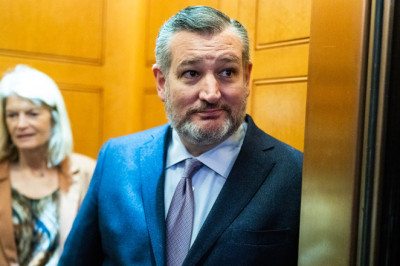 Cruz keeps 2028 door open as speculation grows over GOP's post-Trump future