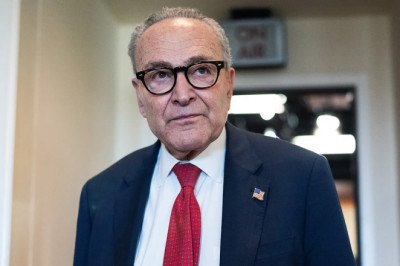 Schumer says he'll move to pass Epstein bill 'immediately' in Senate