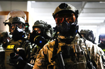 ICE protester who identified as 'bin Laden' faces charges over alleged sexually explicit threats to agents