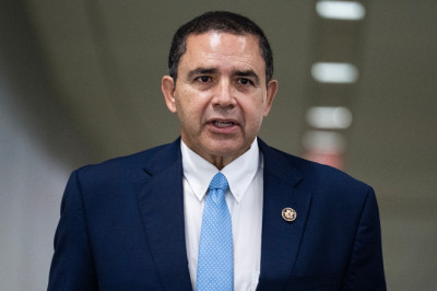 WATCH: Dem lawmaker thanks Trump for pardon, says it came as a surprise amid re-election bid