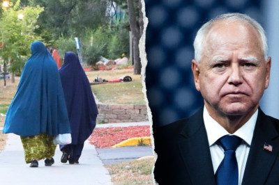 Expert reveals key factor that led to massive Minnesota fraud scheme