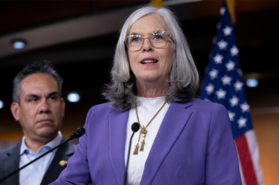 Second-highest-ranking House Democrat faces primary challenge from party's left flank