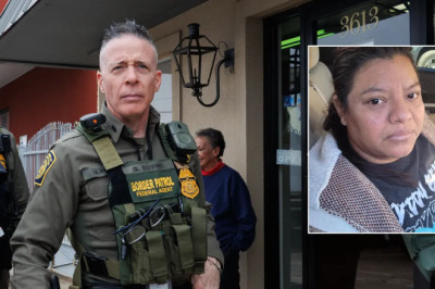 'Unlucky' Honduran woman arrested after allegedly running red light and crashing into ICE vehicle