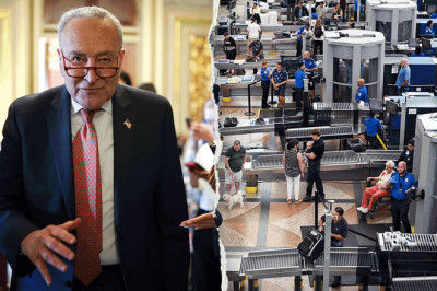 Democrats demanding ICE reforms lose airport escorts in shutdown they triggered