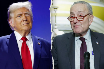 Trump, Schumer find rare common ground on releasing UFO files