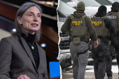 House Dem compares Trump's illegal immigration crackdown to 'terrorism,' vows to abolish ICE